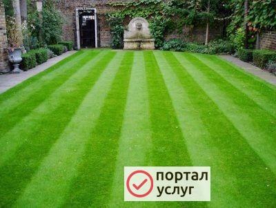 Фото Уборка дачных участков и частных территорий