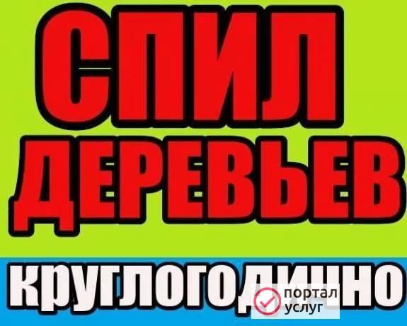 Фото Спил деревьев, вывоз АРМАВИР 