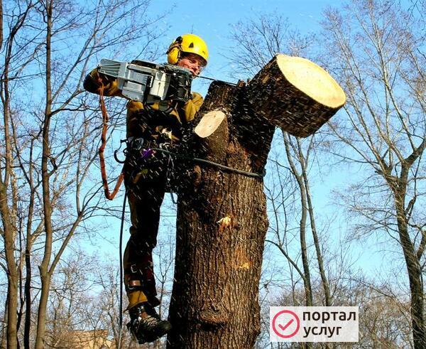Фото ☆СПИЛ И ОБРЕЗКА ДЕРЕВЬЕВ☆
