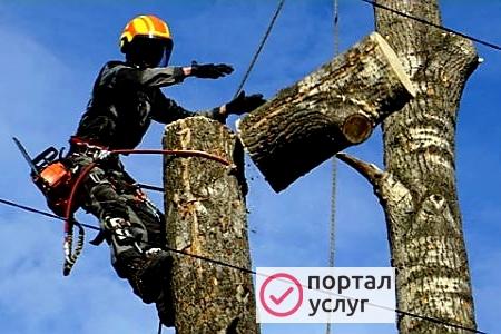 Фото Спилим Деревья в Батайске 