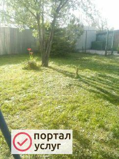 Фото Покос тровы