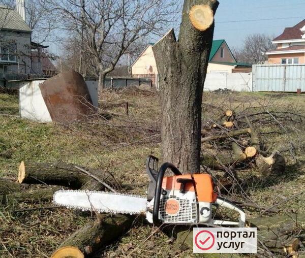 Фото Спил кронирование деревьев. 