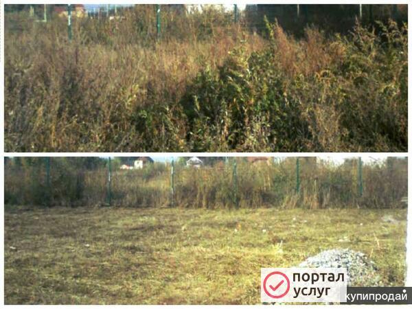 Фото Пакос травы спил 