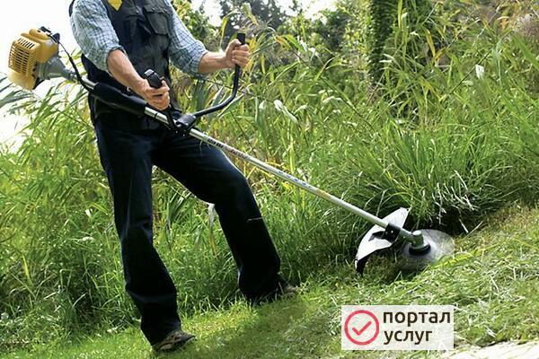Фото Пакос травы спил деревьев, уборка участков 