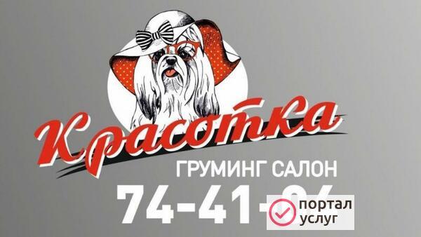 Фото Стрижка кошек и собак
