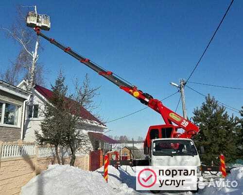 Фото Спил деревьев в Малоярославце 