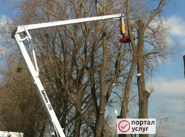 Фото Спил аварийных деревьев 