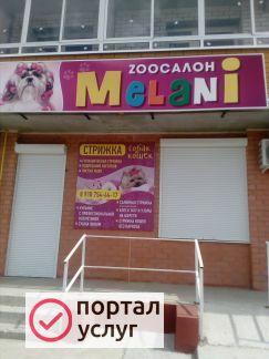 Фото Стрижка собак и кошек