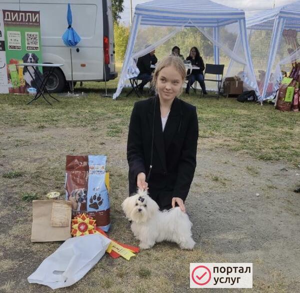 Фото Хендлер