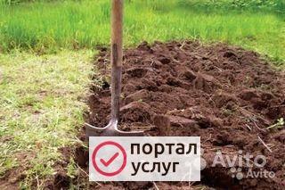 Фото Копаем ямы, конавы
