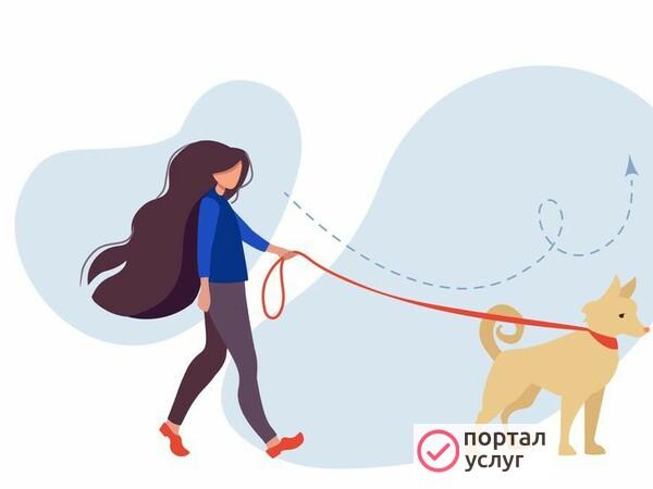 Фото Выгул собак