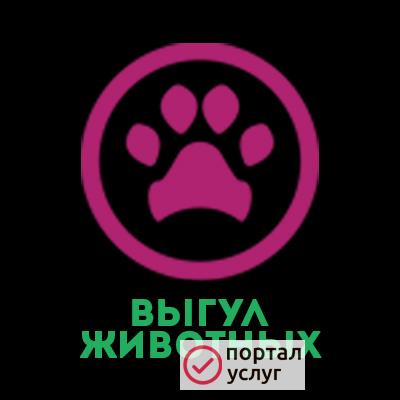 Фото Выгул собак.