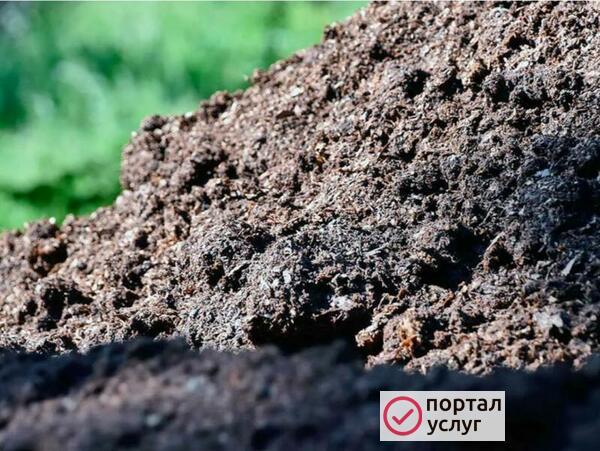 Фото ПЕРЕГНОЙ