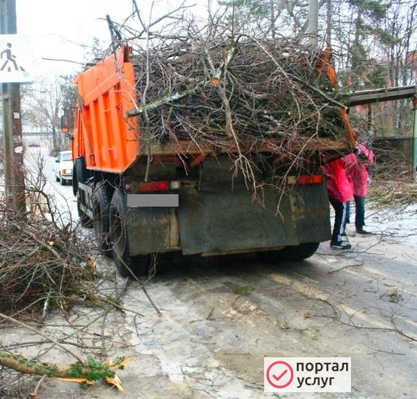 Фото Вывоз мусора, расчитстка участков