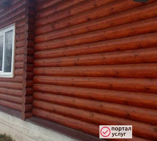 Фото Конопатка