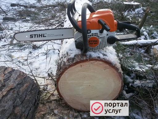 Фото Спил деревьев