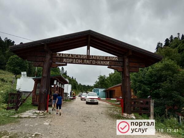Фото Трансфер
