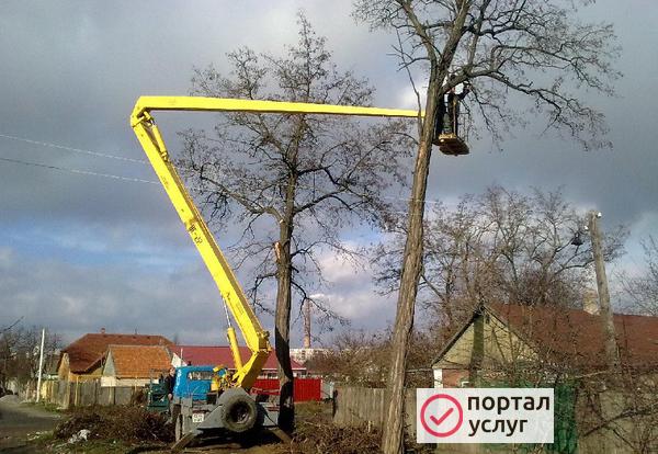 Фото СПИЛИВАНИЕ АВАРИЙНЫХ ДЕРЕВЬЕВ