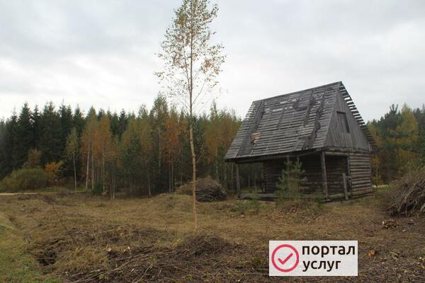 Фото Уборка участка от кустарника и деревьев. ОТЗЫВ КЛИЕНТА. 