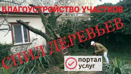 Фото Благоустройство/Спил деревьев