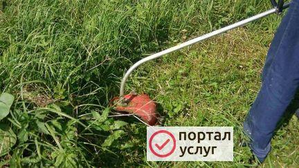 Фото Покос травы.Уборка территории.Спил.Слом.Вывоз