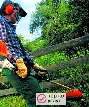 Фото Покос Травы Триммером