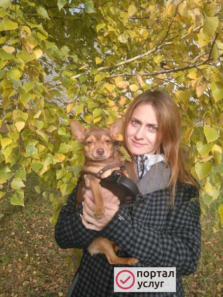 Фото Присмотрю за вашим питомцем!
