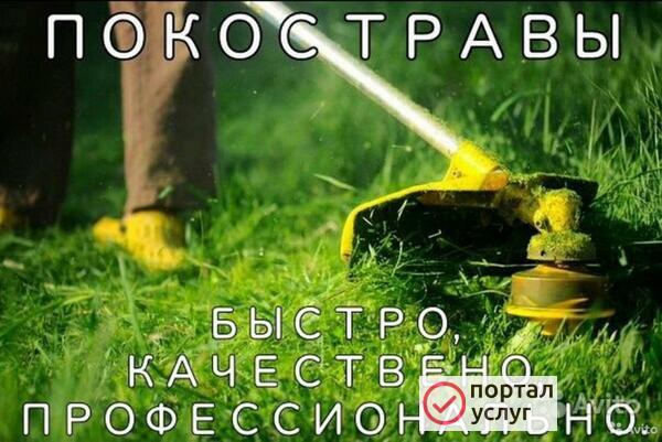 Фото ПОКОС ТРАВЫ В РОСТОВЕ 