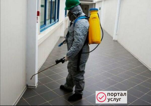Фото СЭС услуги