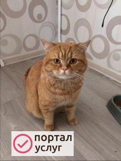 Фото Приглашаем на вязку