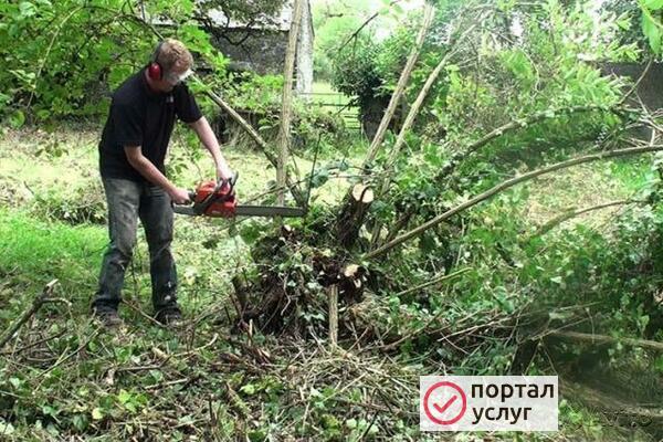 Фото Уборка территорий.Вывоз мусора
