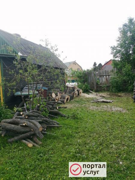 Фото Спил опасных деревьев