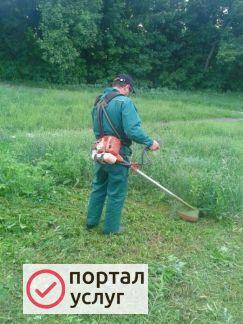 Фото Покос травы