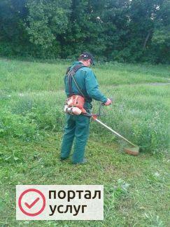 Фото Покос травы