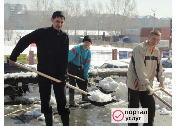 Фото Уборка территории и вывоз мусора