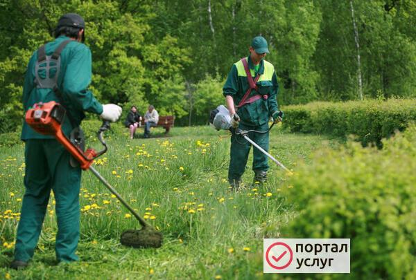 Фото Покос травы