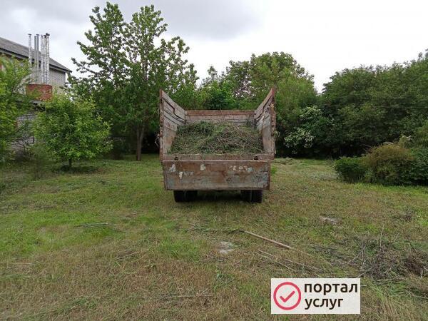 Фото Покос травы
