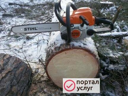 Фото Спил деревьев