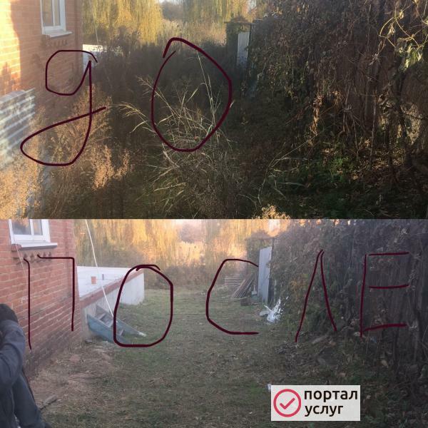Фото Оказание услуг