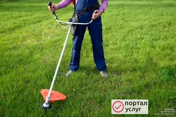 Фото Покос травы