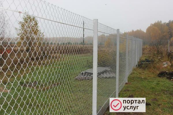 Фото Заборы