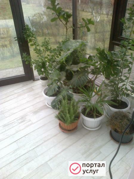 Фото Уборка, химчистка
