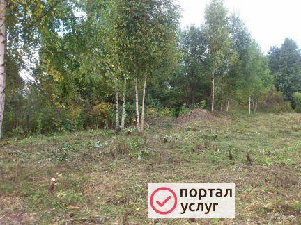 Фото Спил деревьев, кустарника