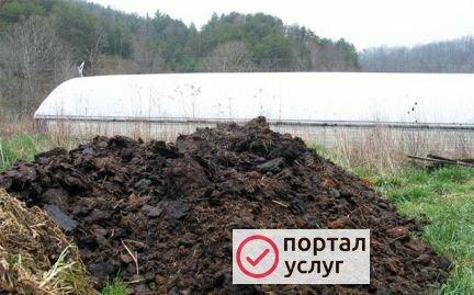 Фото Перегной