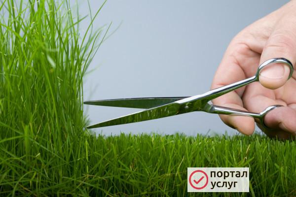 Фото Помогу скосить траву