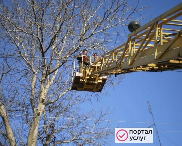 Фото Спил деревьев с автовышки