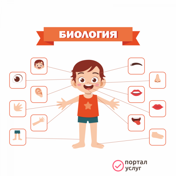 Фото Репетитор по биологии