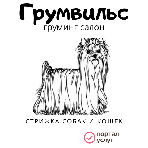 Фото Стрижка собак
