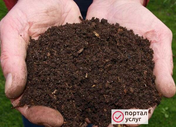 Фото перегной