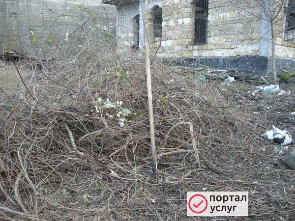 Фото Уборка поросли, измельчение в щепу, опилки